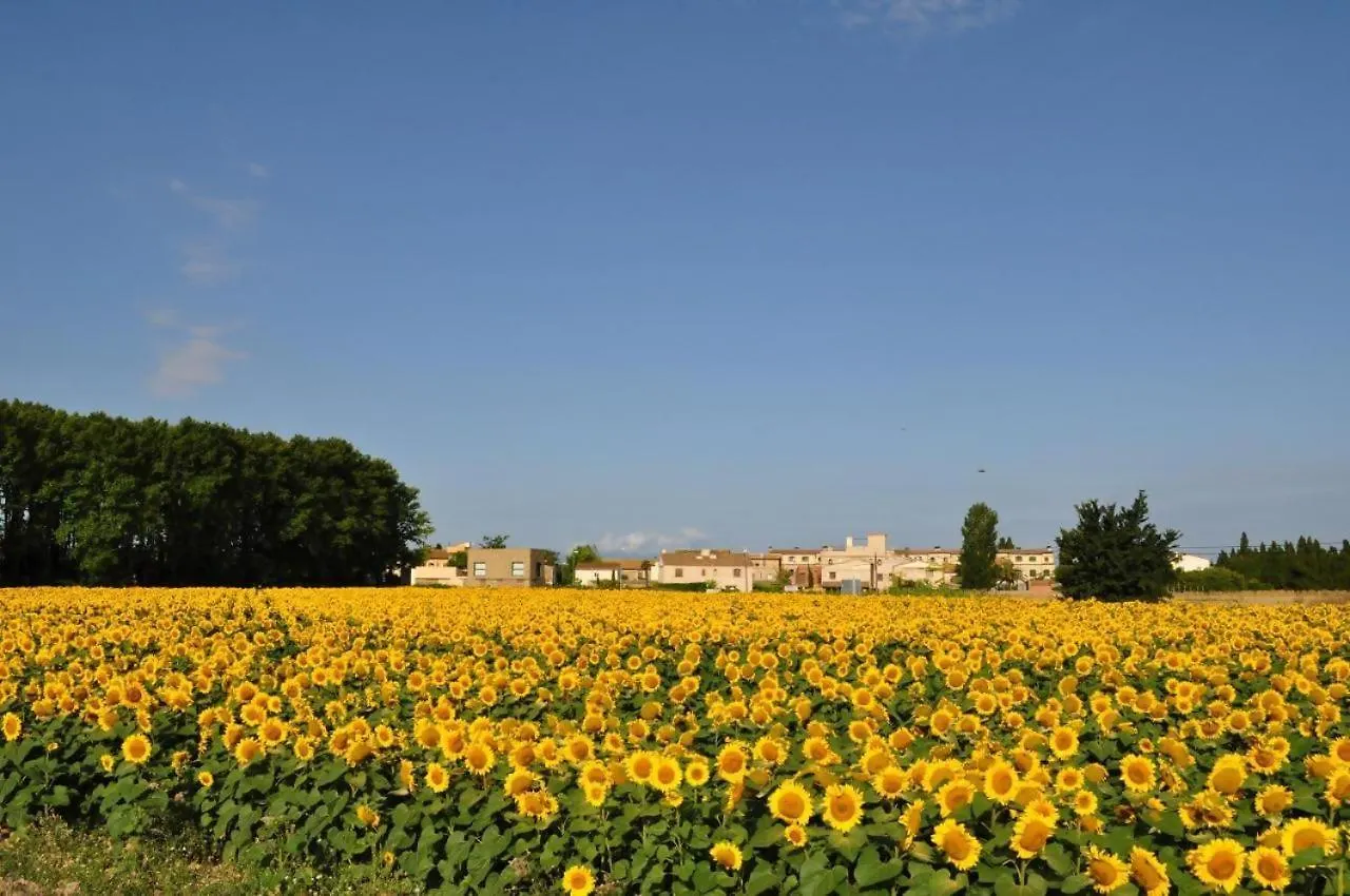 L'Hort De Sant Cebria Bed & Breakfast Torroella de Fluvia